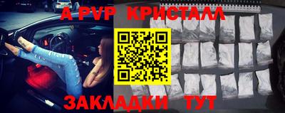дмт Кингисепп