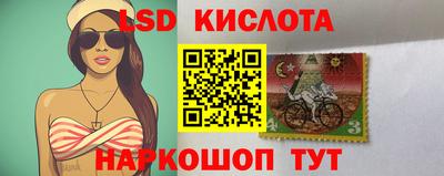 дмт Кингисепп
