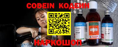 дмт Кингисепп