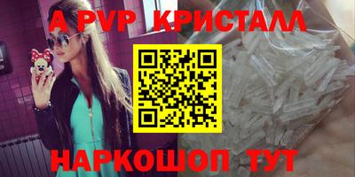 дмт Кингисепп