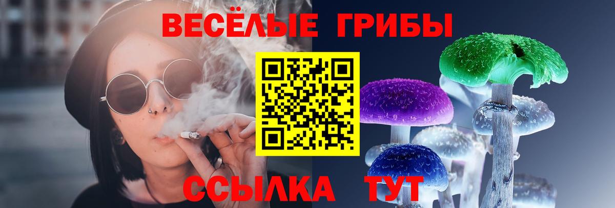 Галлюциногенные грибы мицелий  Вход с VPN  Осинники 