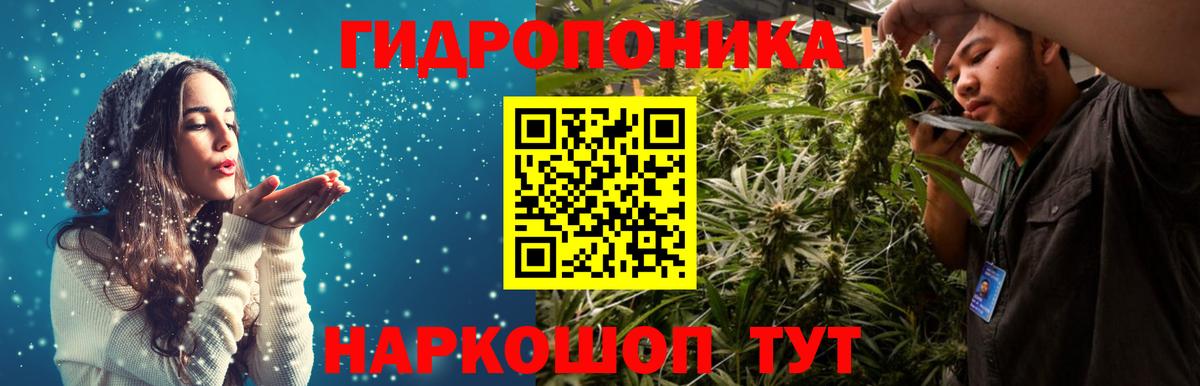 Бошки Шишки MAZAR Осинники
